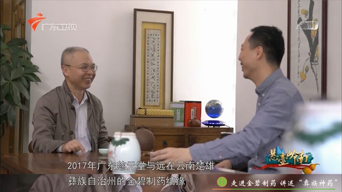 《悬壶岭南》:走进金碧制药,讲述“彝族神药”故事2.jpg