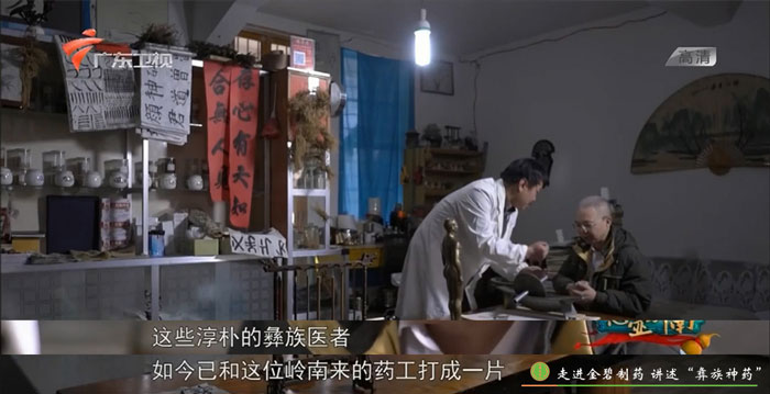 《悬壶岭南》:走进金碧制药,讲述“彝族神药”故事6.jpg